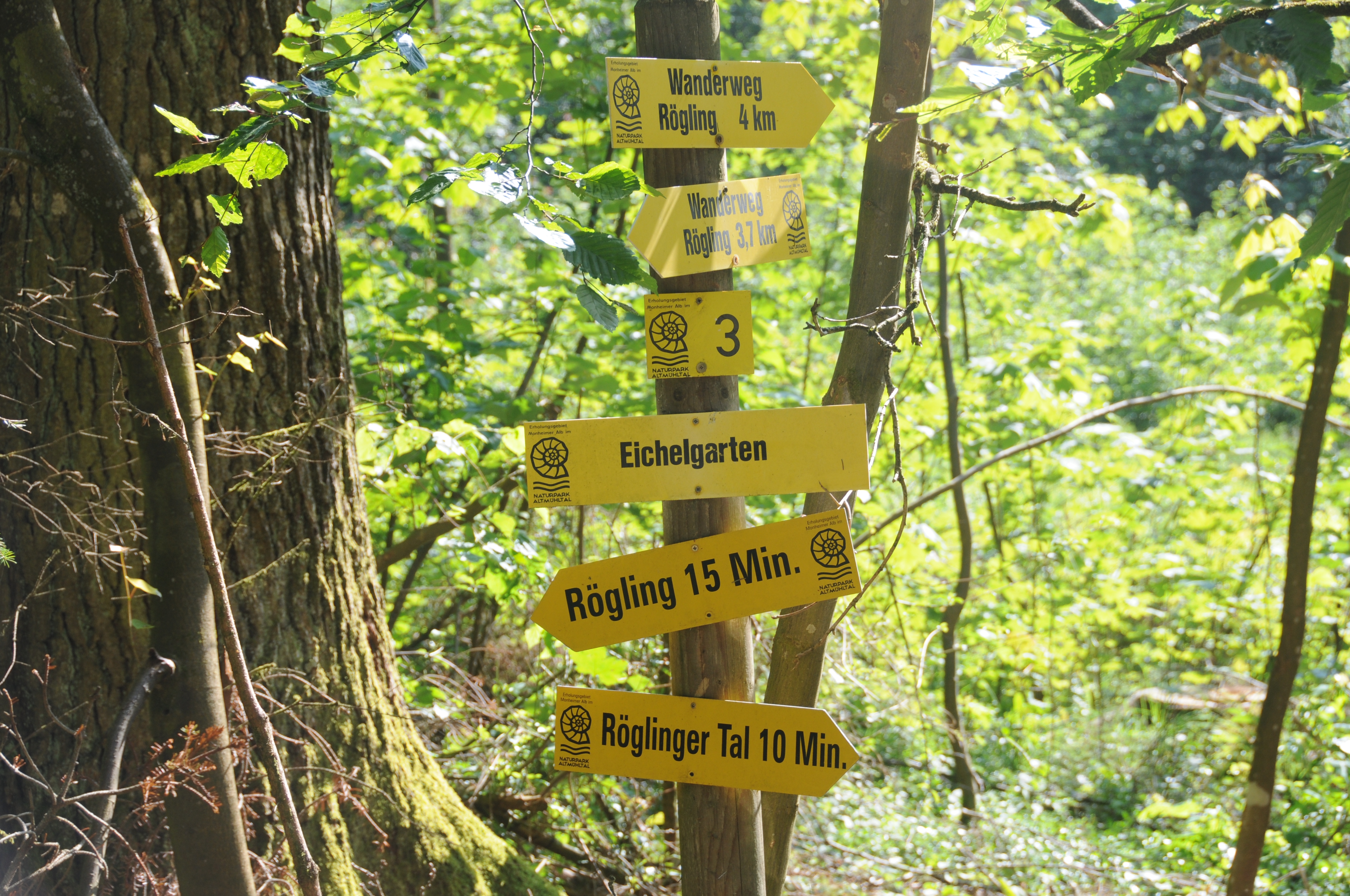 Wanderwegweiser im Wald von Rögling